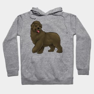 Dog - Newfoundland - Brown Hoodie